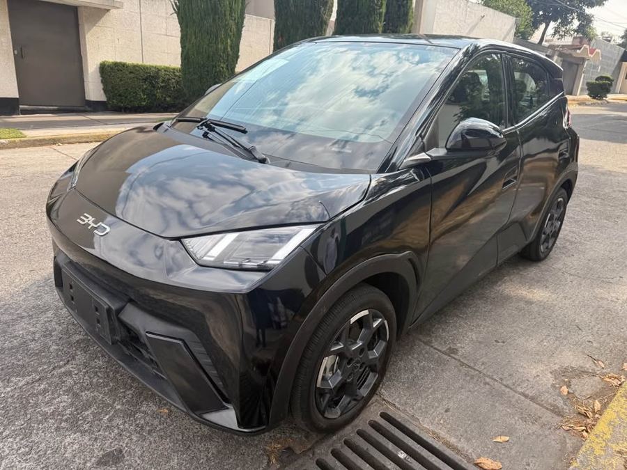 BYD Dolphin Mini Plus 2026 vendido